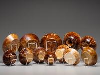 Twelve Rockingham Glaze Bowls and Molds