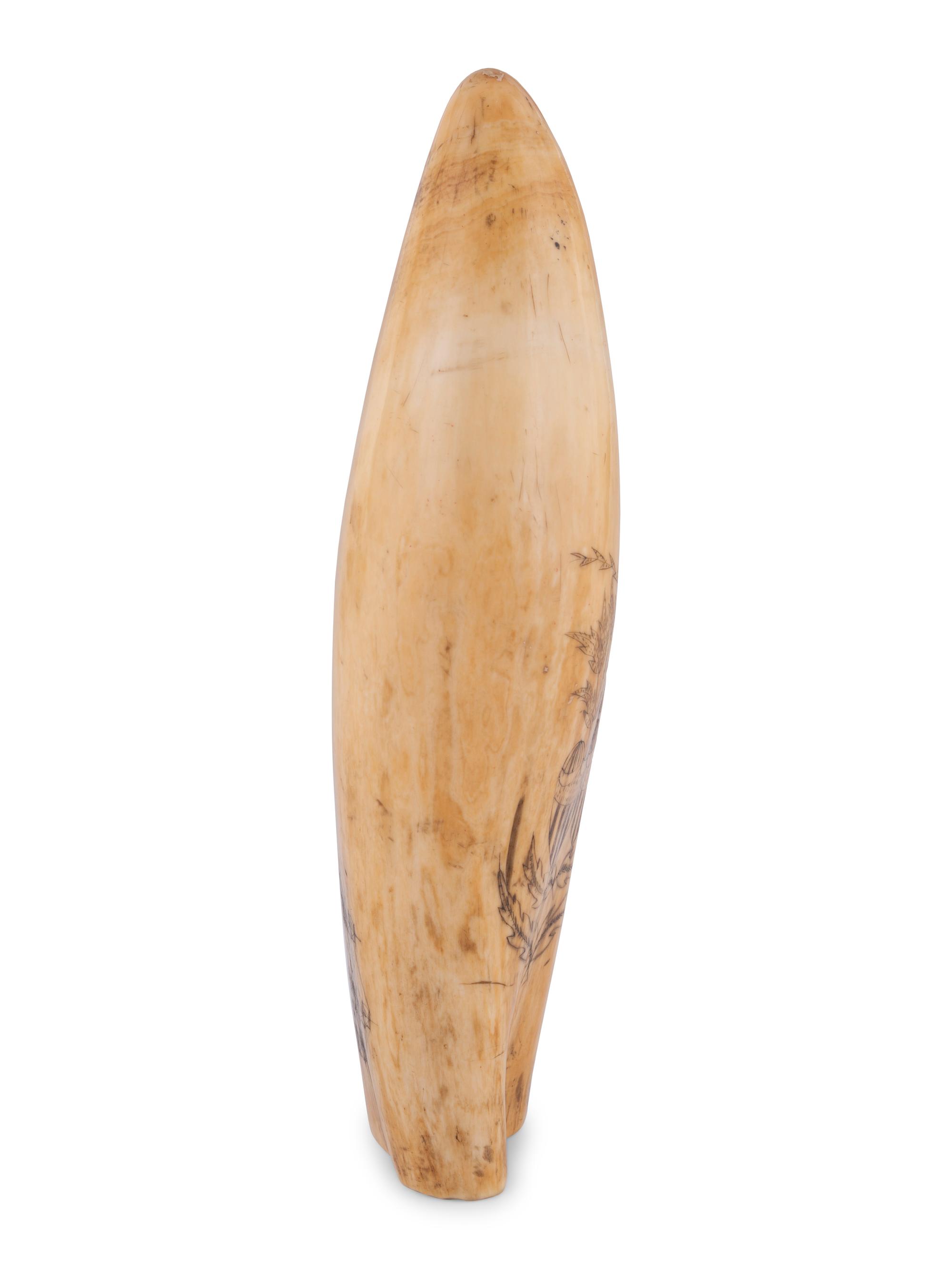 A Scrimshaw Tooth Depicting Two Ships Underway