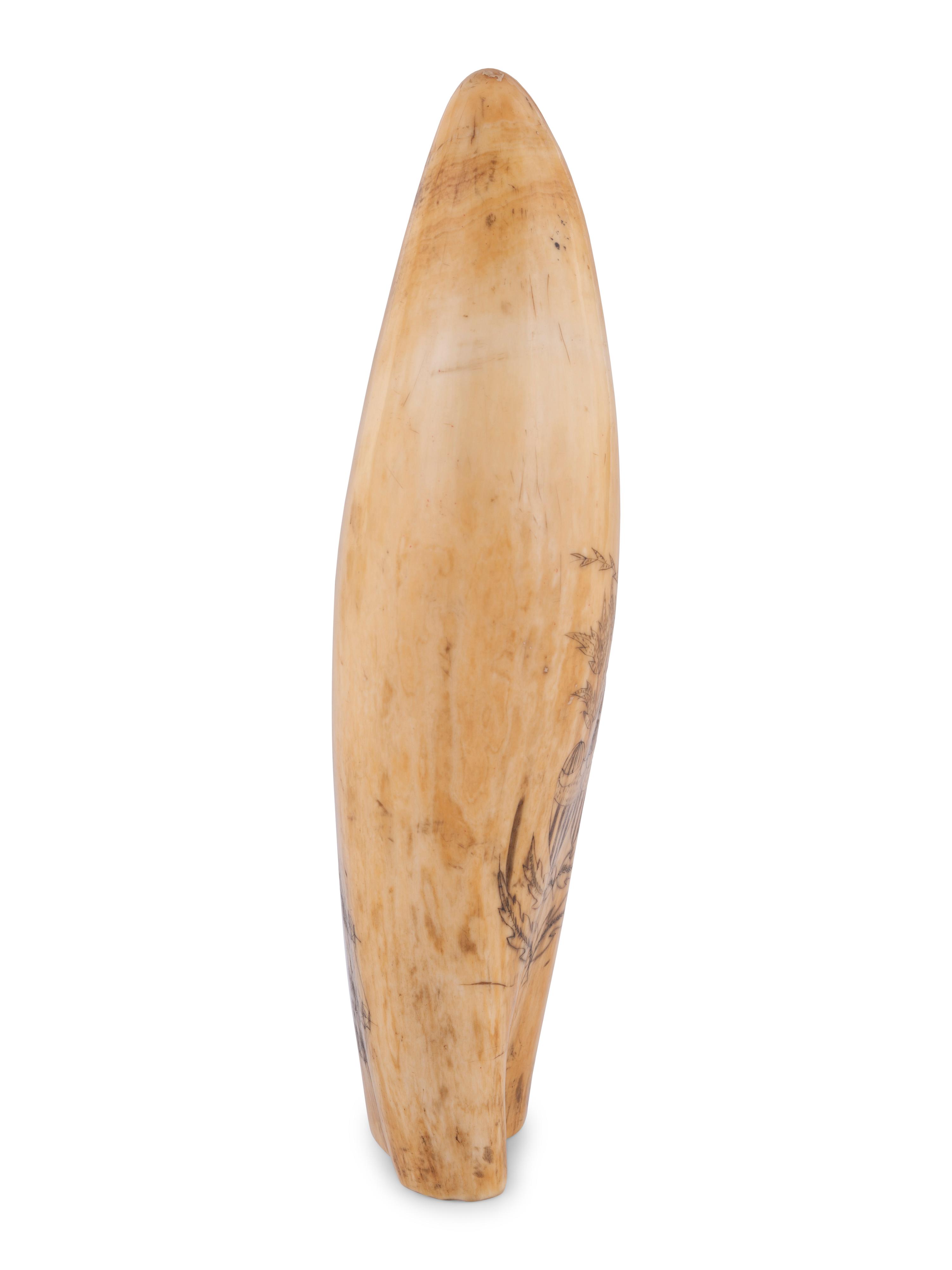 A Scrimshaw Tooth Depicting Two Ships Underway