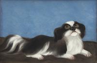 Chinese School 19th Century, A Reverse Painting on Glass of a Pekingese