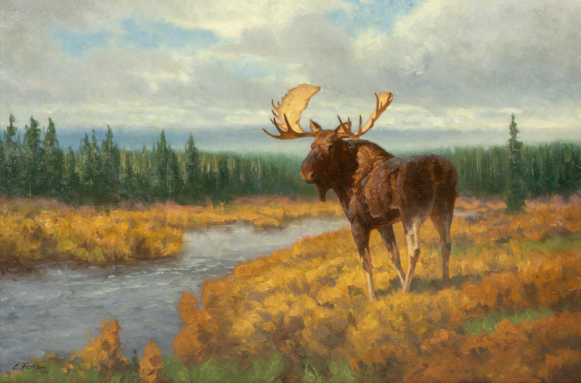 Stoney River Bull