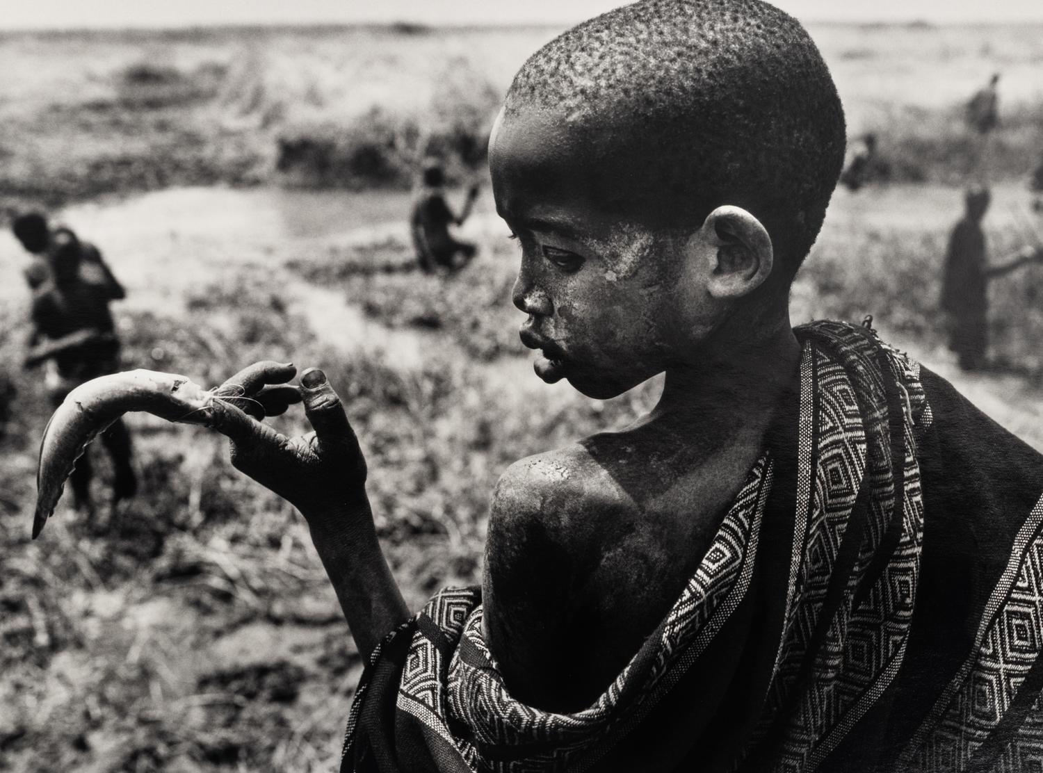 Sebastião Salgado (born 1944) Fishing in the marshes of the Gel Canal, which is filled with waters from the Nile River, Southern Sudan, from the series "Genesis," 2006