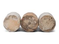 Three J. Viall Stoneware Beer Bottles