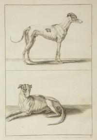 A Group of Ten Framed Continental Engravings — 18TH/19TH CENTURY
