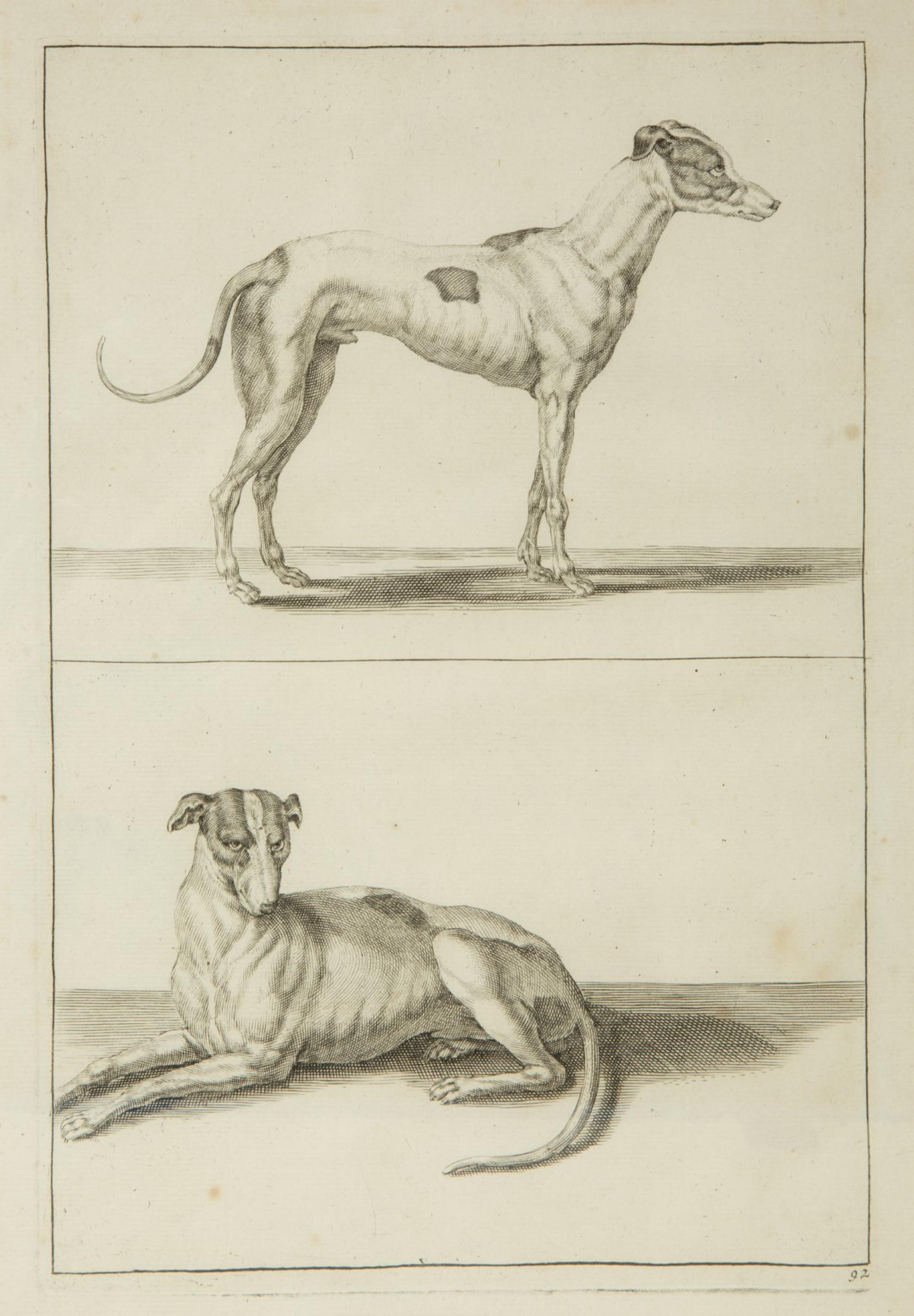 A Group of Ten Framed Continental Engravings — 18TH/19TH CENTURY