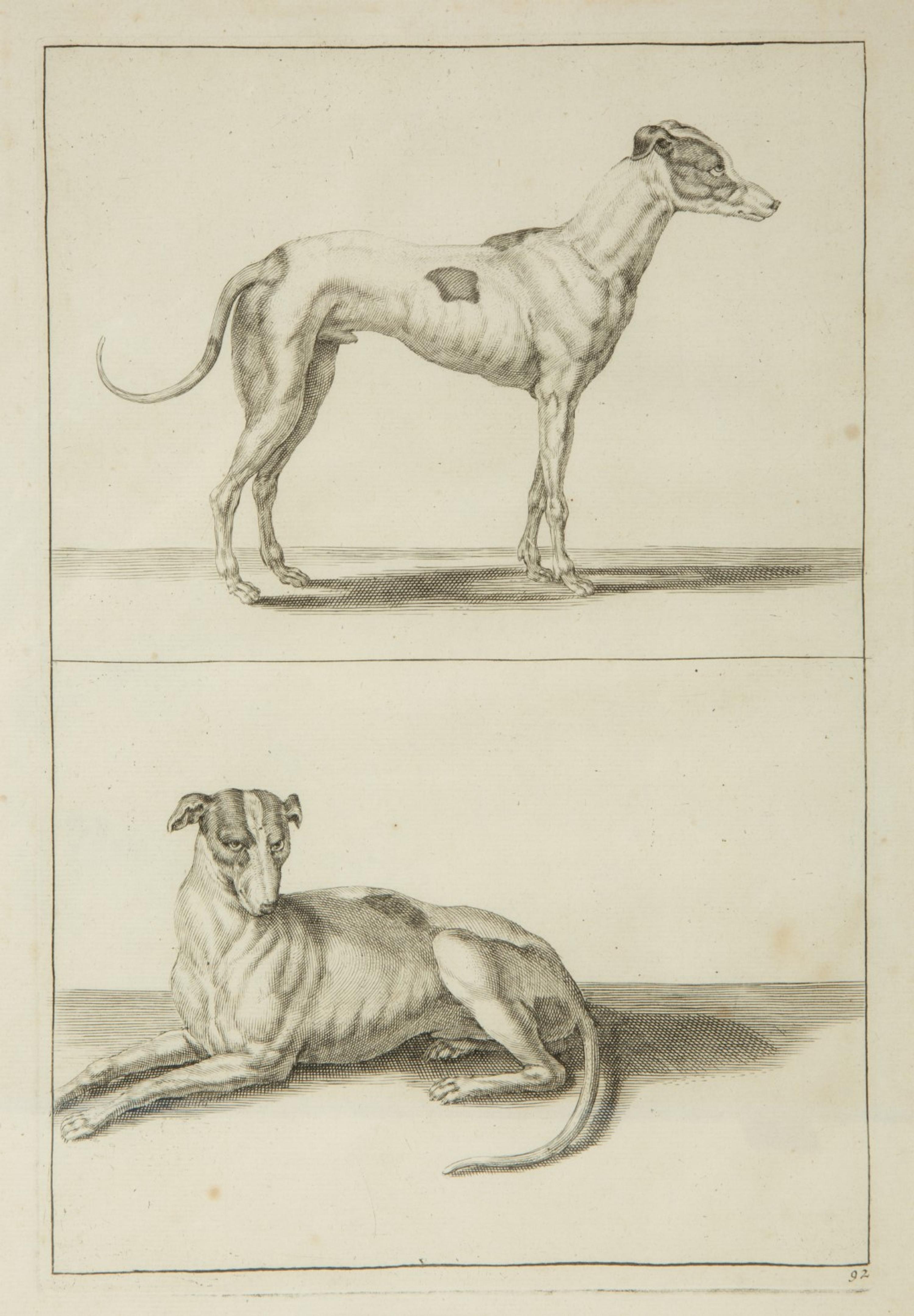 A Group of Ten Framed Continental Engravings — 18TH/19TH CENTURY