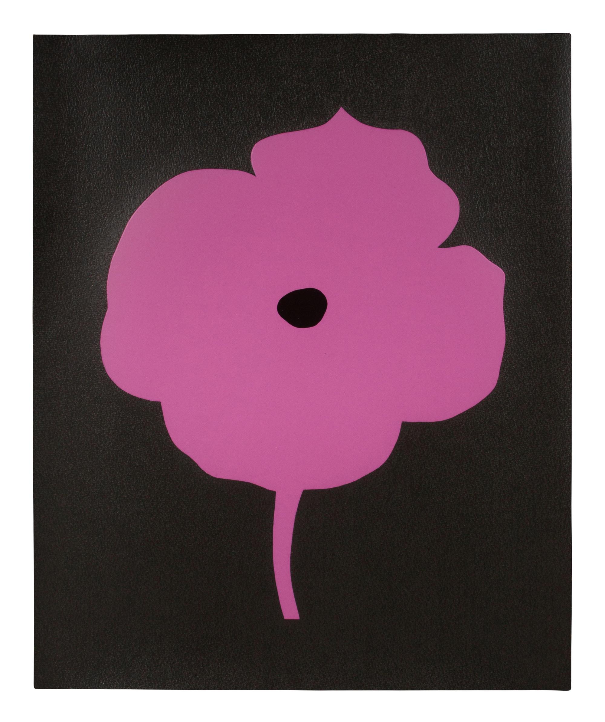 12 Colors (complete set of 12), 2007