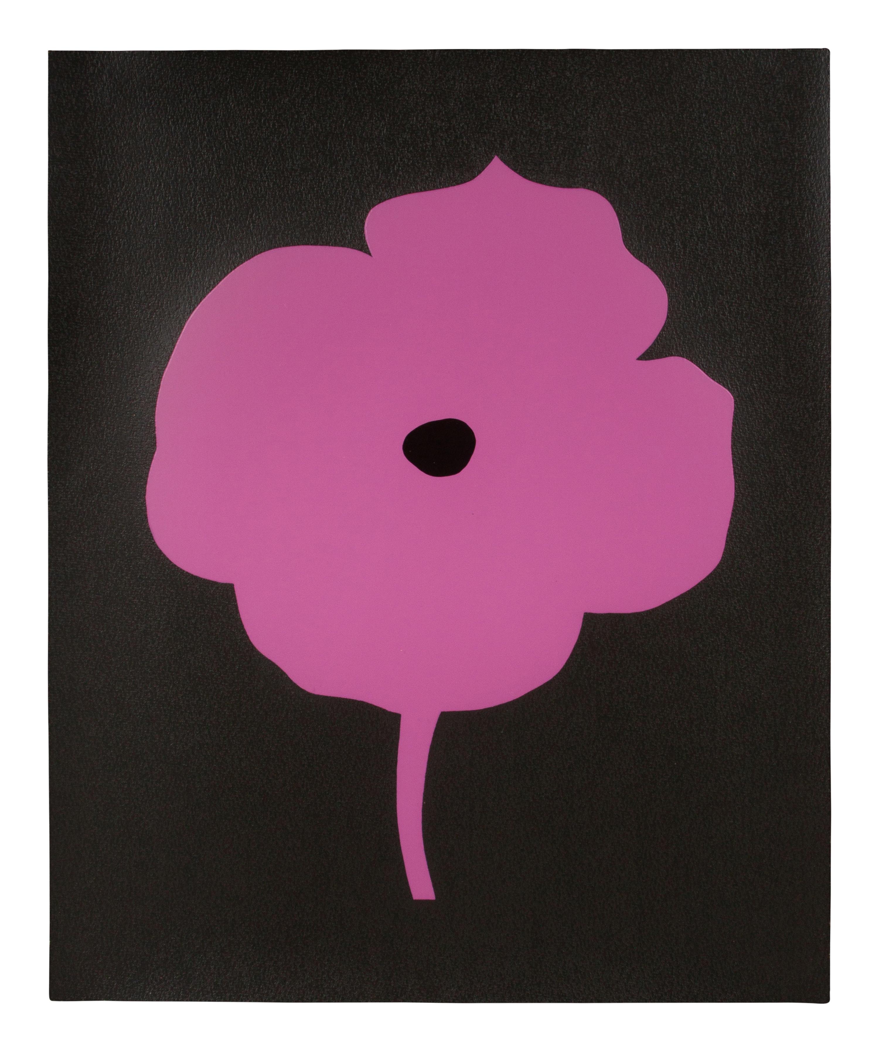 12 Colors (complete set of 12), 2007