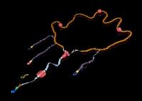 A Chinese Amber and Rose Quartz Beaded Court Necklace, Chao Zhu 18TH/19TH CENTURY Overall length 41 inches. — 18TH/19TH CENTURY