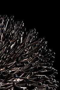 Untitled (Bush)