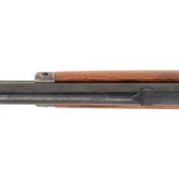 **Marlin Model 1894 Rifle in .25-20 Caliber with Tang Sight