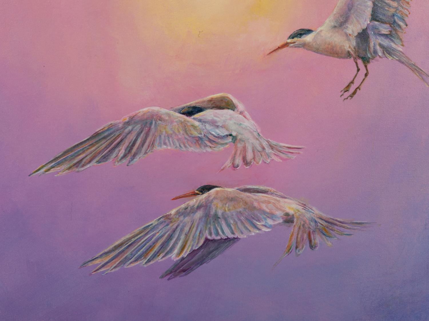 Terns and Hazy Sun , 2007