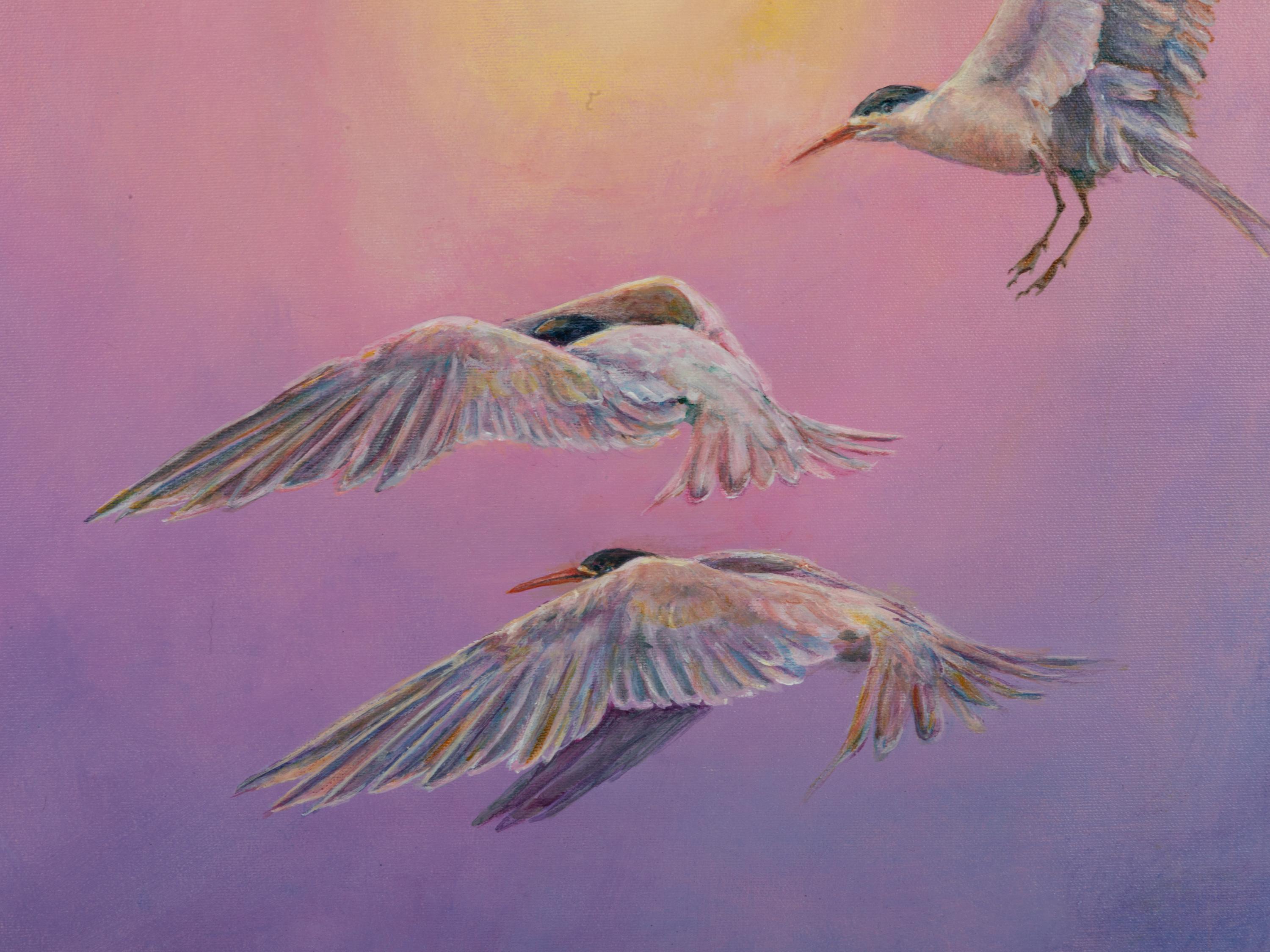 Terns and Hazy Sun , 2007