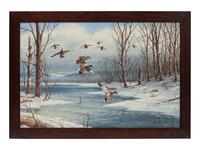 Ducks Landing