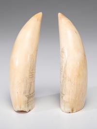 A Pair of Scrimshaw Sperm Whale's Teeth