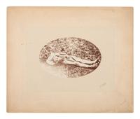 [7TH US CAVALRY]. BARRY, David F. (1854-1934), printer. Postmortem photograph of Sergeant Frederick Wyllyams, killed by the Sioux in June 1867.