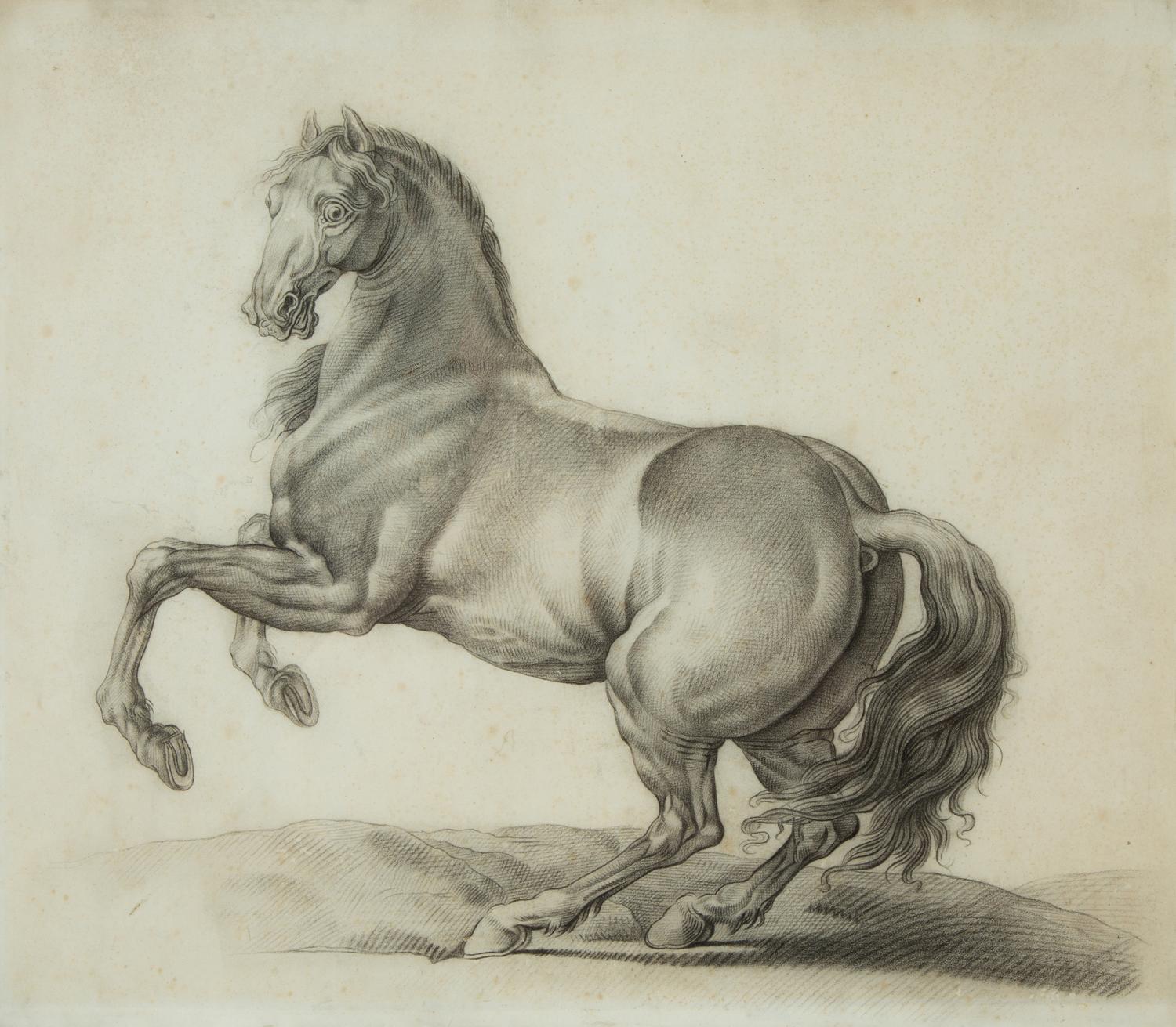 Two Works; Nude Study and Equine Study
