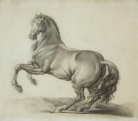 Two Works; Nude Study and Equine Study