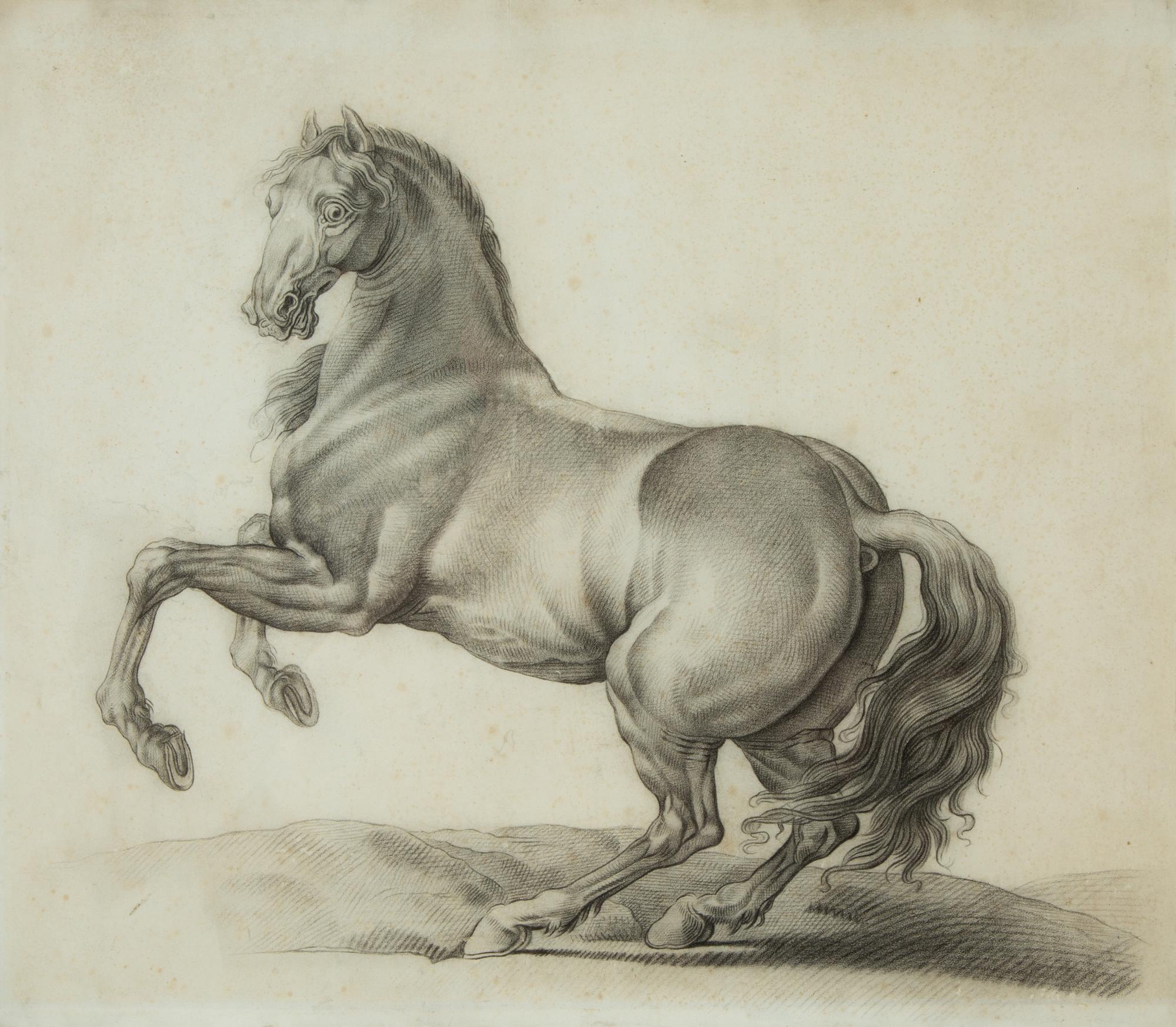 Two Works; Nude Study and Equine Study