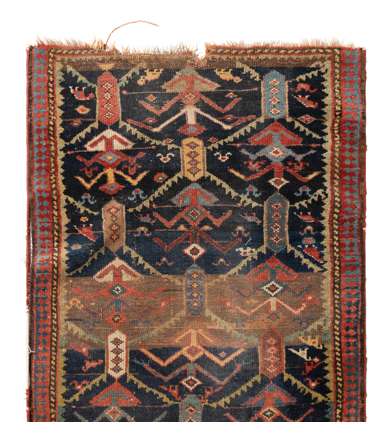 A Northwest Persian Runner