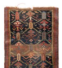 A Northwest Persian Runner