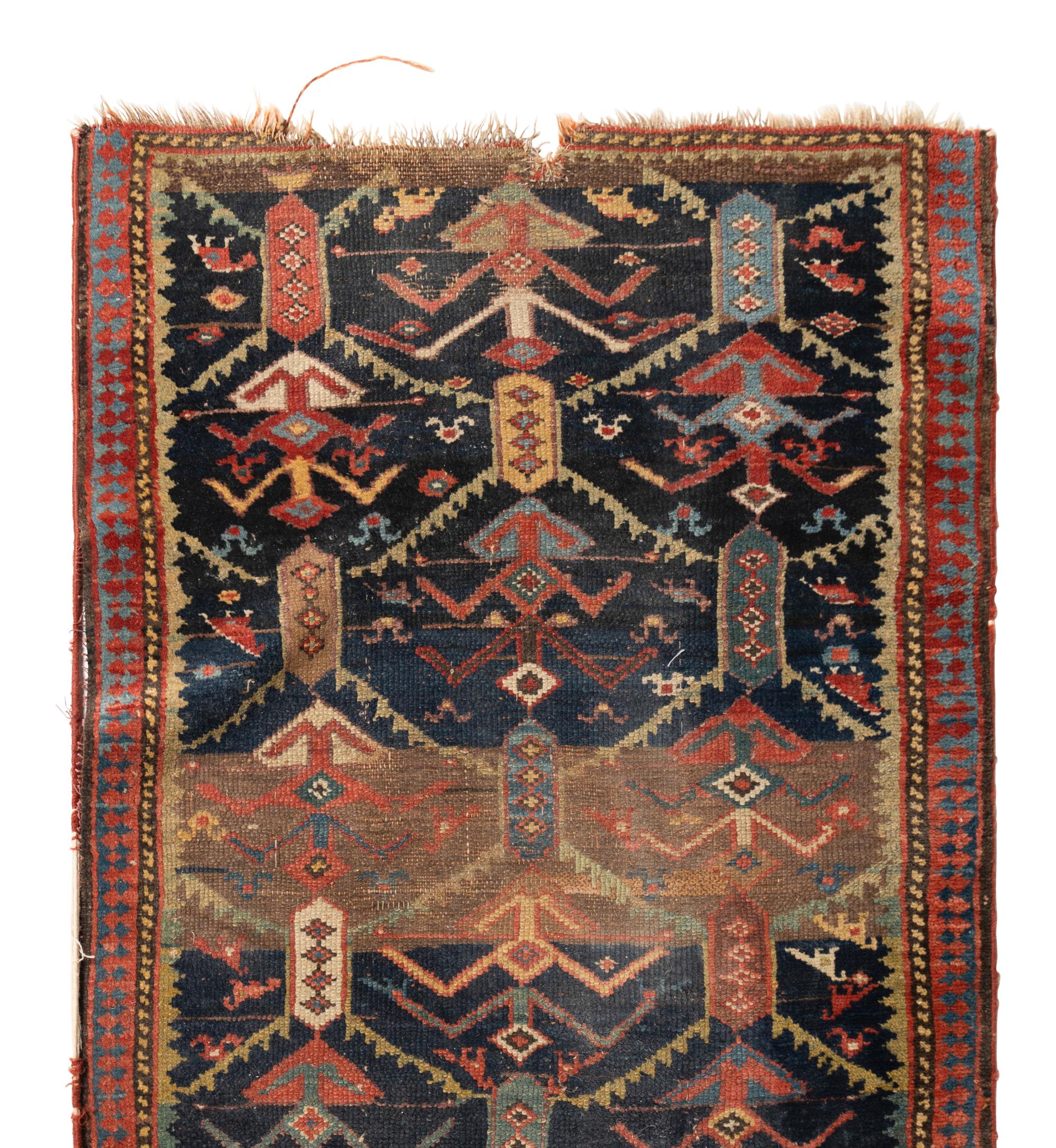A Northwest Persian Runner