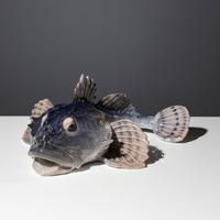 371 Scorpion Fish, Designed by Andresen (1894-1922)