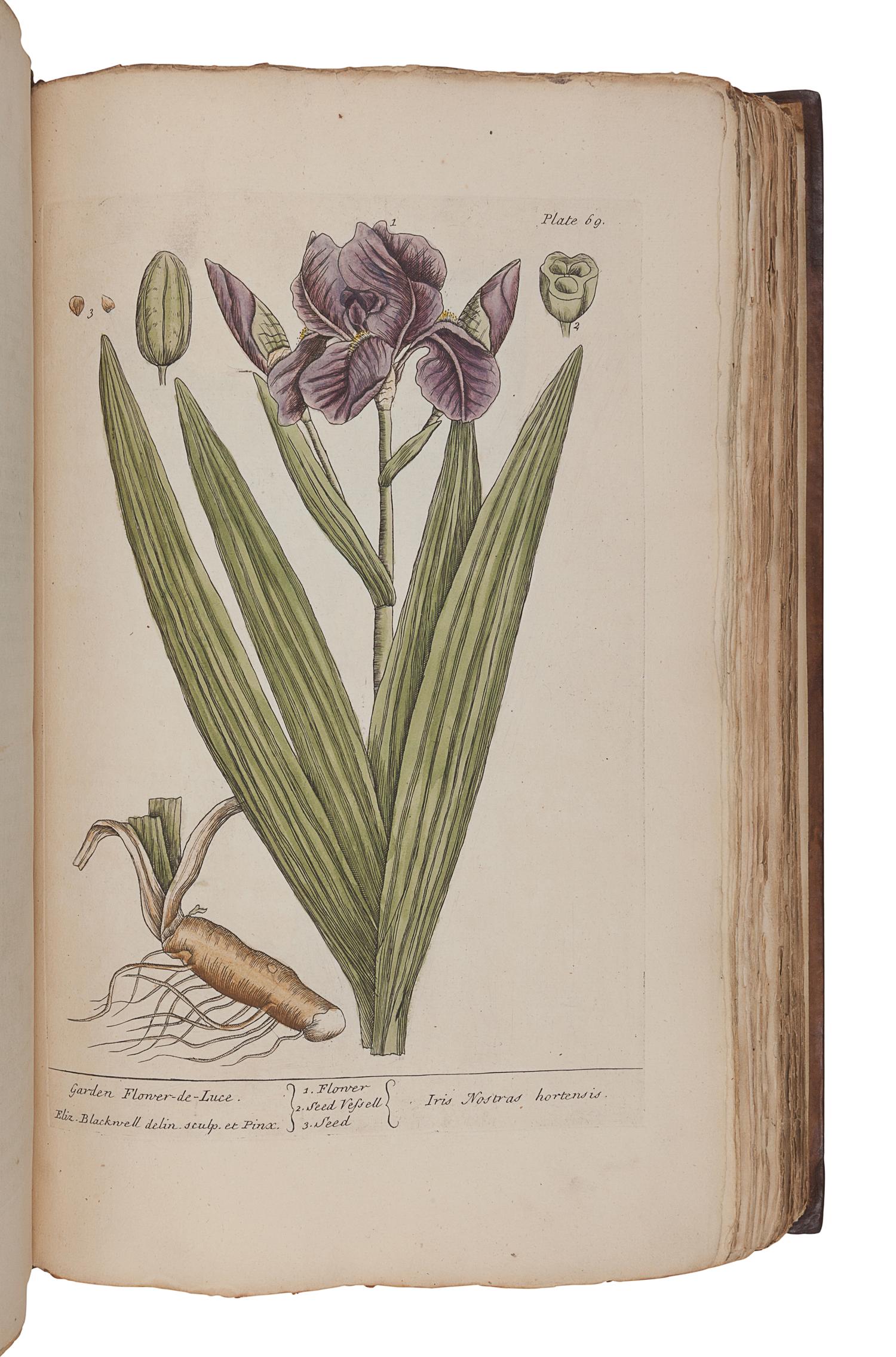 BLACKWELL, Elizabeth (d.1758). A Curious Herbal, containing Five Hundred Cuts of the most useful Plant which are now used in the Practice of Physick. Engraved on folio Copper Plates, after Drawings, taken from the Life… To which is added a short Description of ye Plants and their common Uses in Physick . London: John Nourse, 1739.