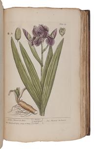 BLACKWELL, Elizabeth (d.1758). A Curious Herbal, containing Five Hundred Cuts of the most useful Plant which are now used in the Practice of Physick. Engraved on folio Copper Plates, after Drawings, taken from the Life… To which is added a short Description of ye Plants and their common Uses in Physick . London: John Nourse, 1739.