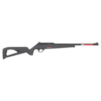 *Winchester Wildcat in Box