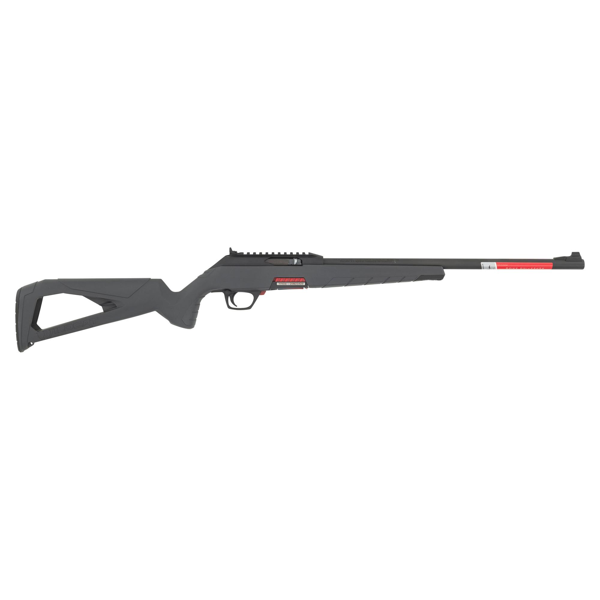 *Winchester Wildcat in Box