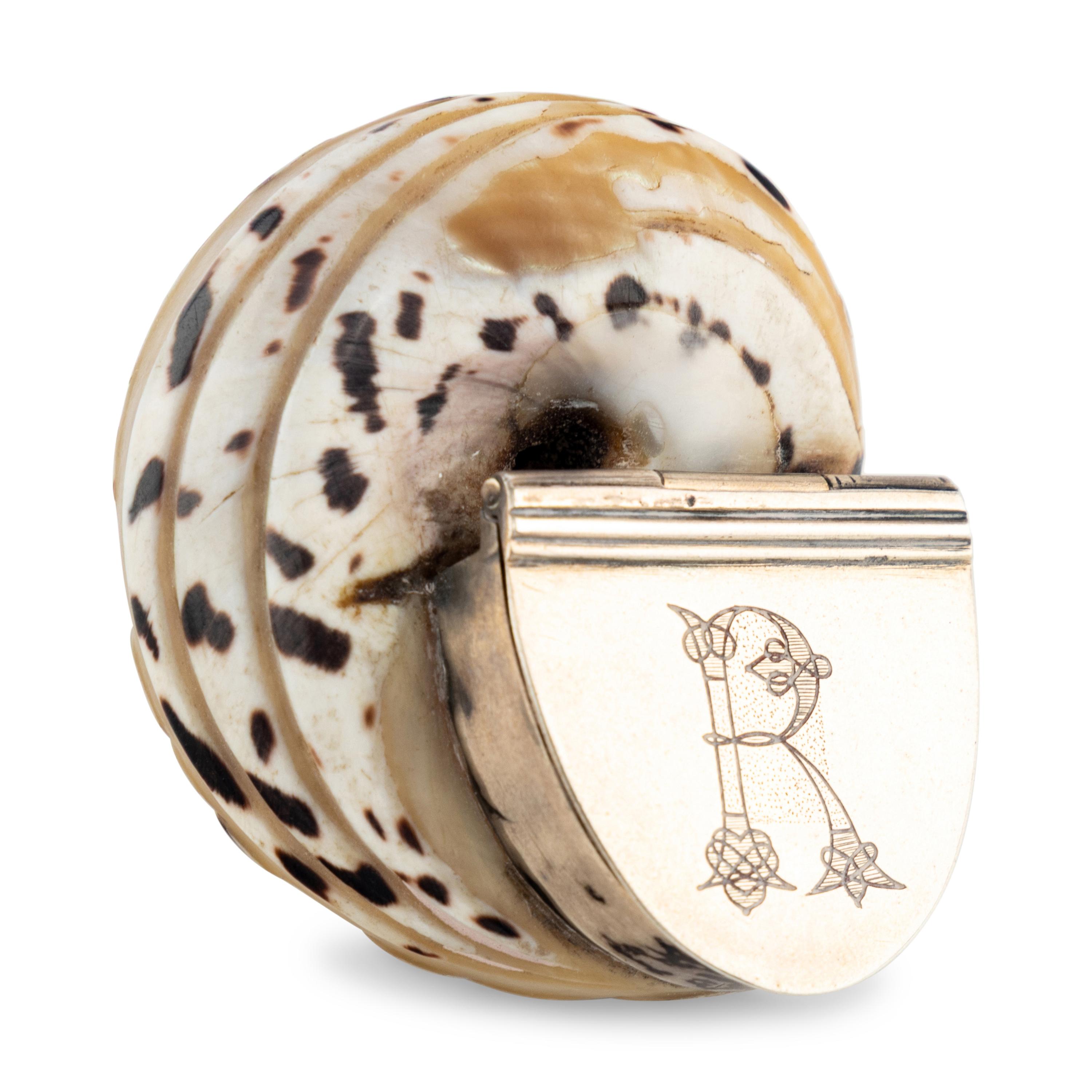 A Silver Mounted Shell Form Snuff Box