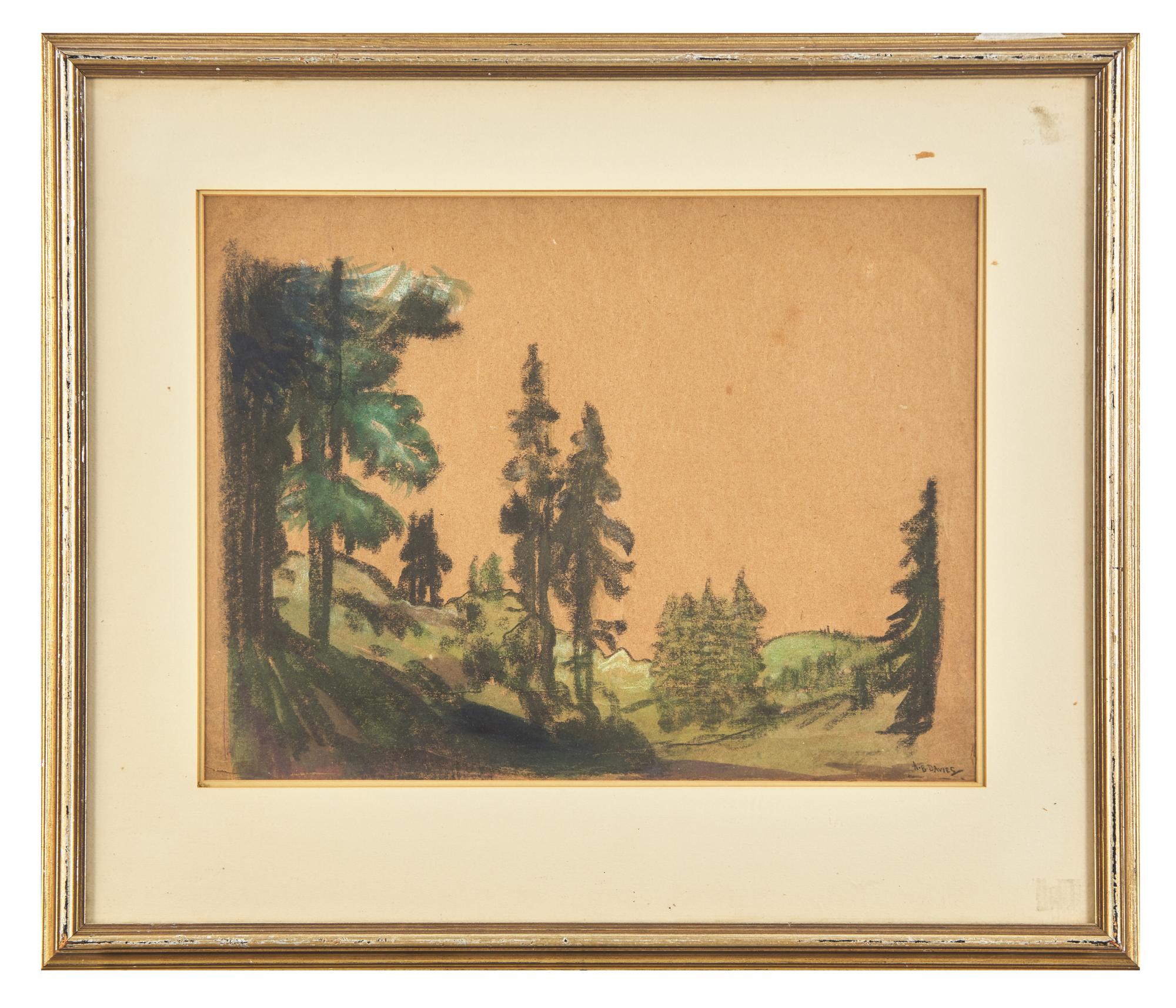 Forest Scene