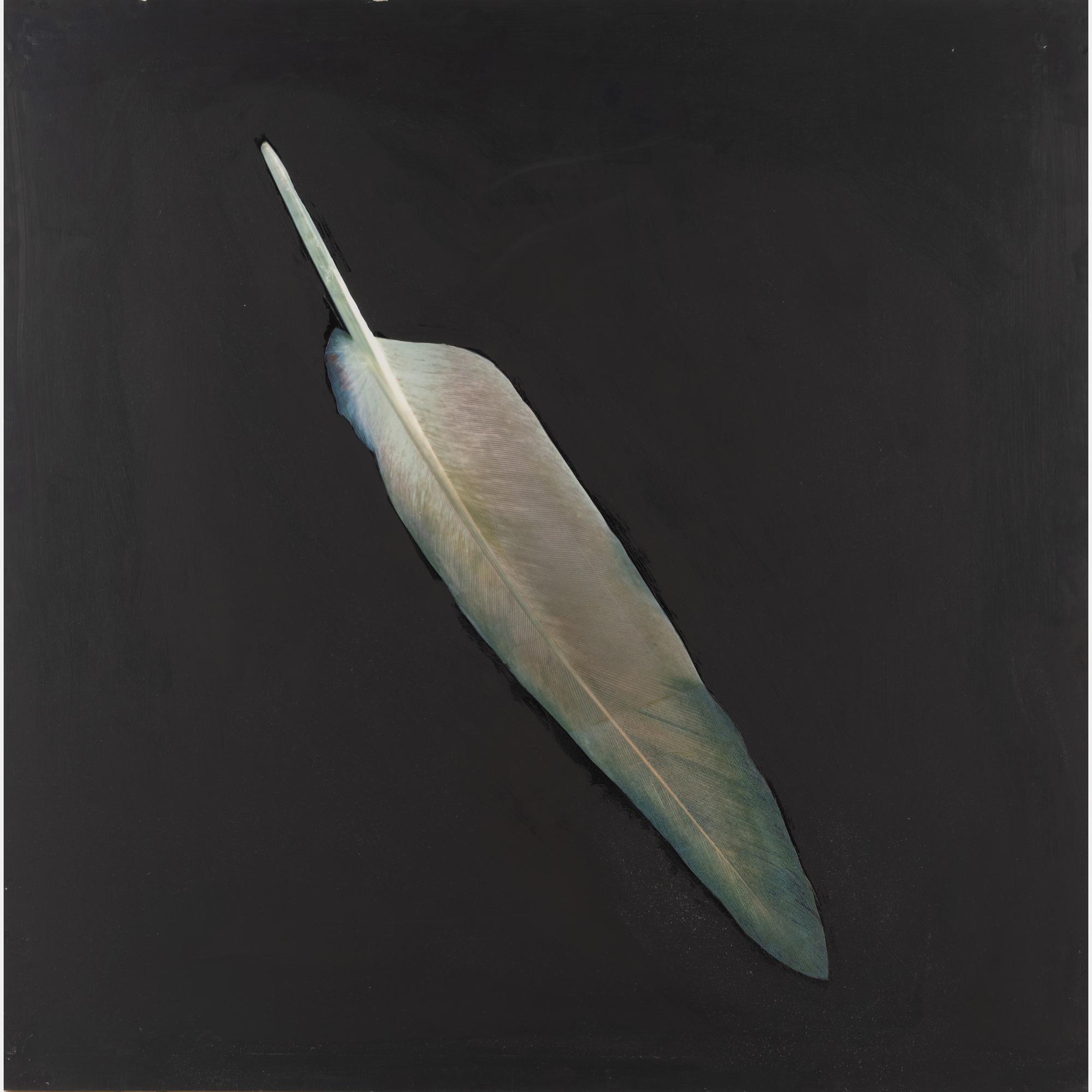 Feather