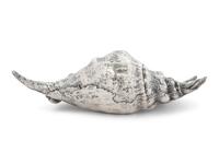 A Federico Buccellati Silver-Plate Mounted Conch Shell