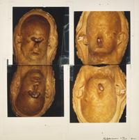 Untitled (New Museum Image), 1992