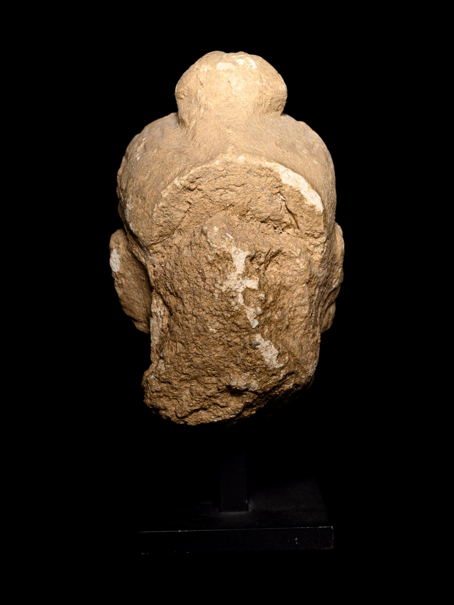 Five Gandharan Fragmentary Stucco Heads