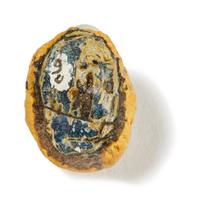 A Phoenician Glass Face Bead