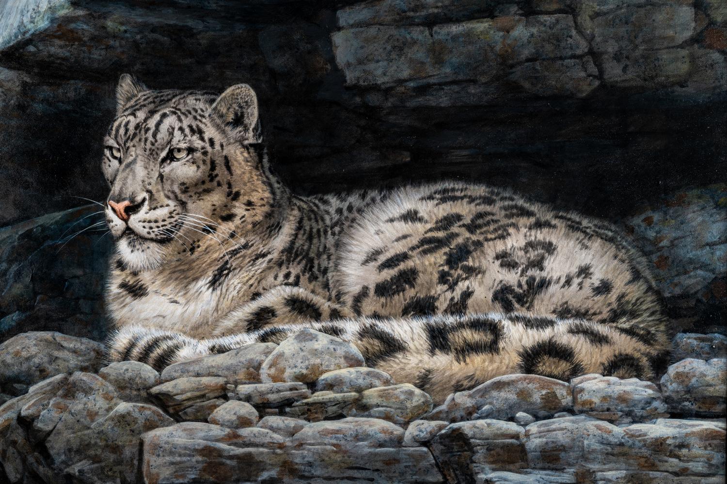 Snow Leopard