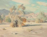 Smoke Tree