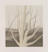 Robert Kipniss, (American, b. 1931), Star White