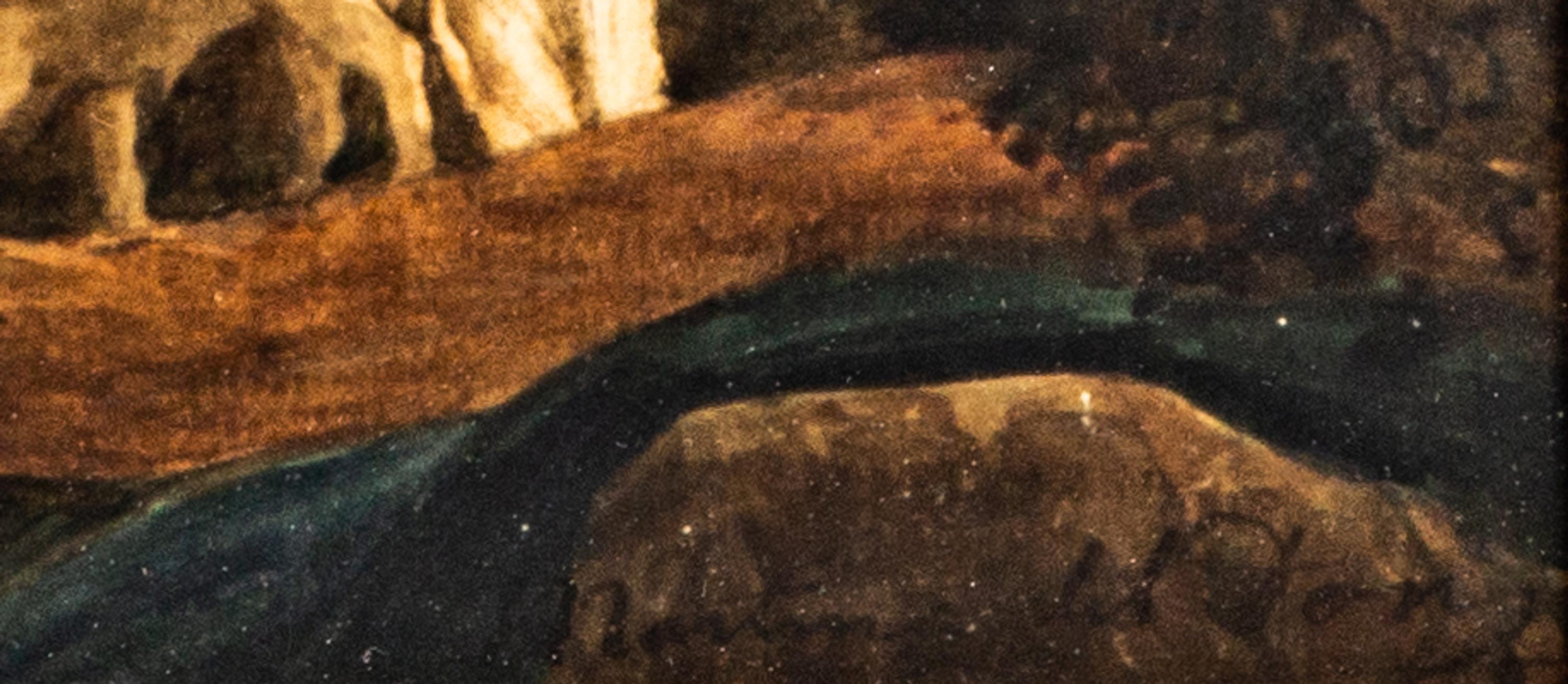 Europa and the Bull