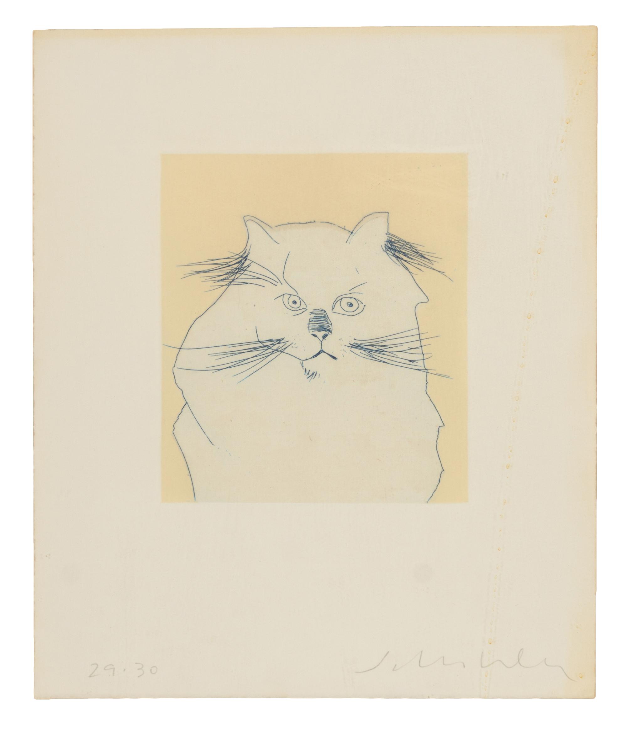 Cat , edition 29/30
