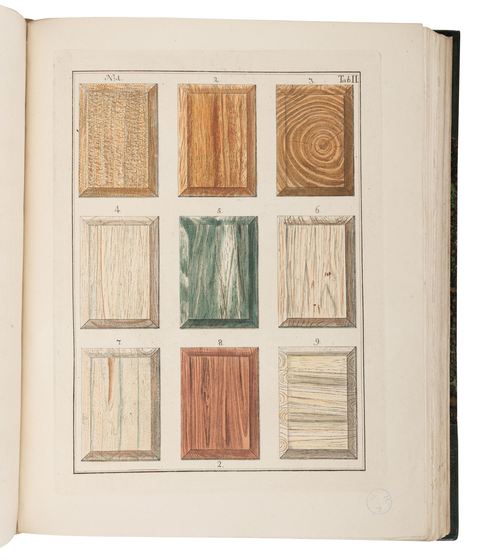 [NATURAL HISTORY]. [HOUTTUYN, Martinus (1720-1798)]. A Representation of Inland and Foreign Wood, as well Trees as Shrubs, which are Collected by the Lovers of Natural History in their Cabinets of Natural Curiosities for Use and Pleasure . -- Afbeeldingen van Meest alle Bekende, In- en Uitlandsche Houten... -- Abbildung In-und Auslaendischer Hoeltzer… Amsterdam: Jan Christian Sepp, 1773, 1791-1795.