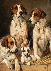 In the Kennels