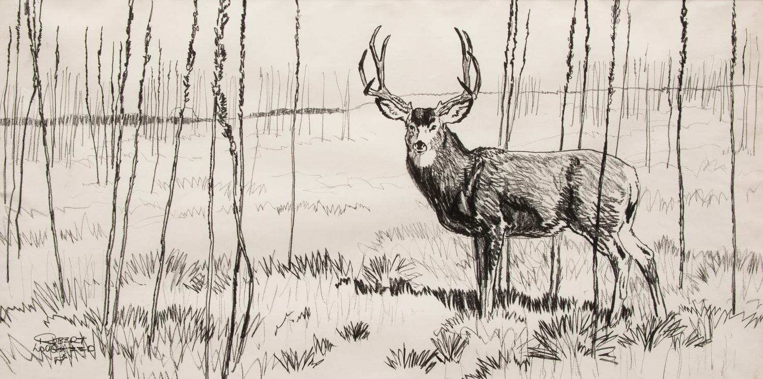 Buck in Willows