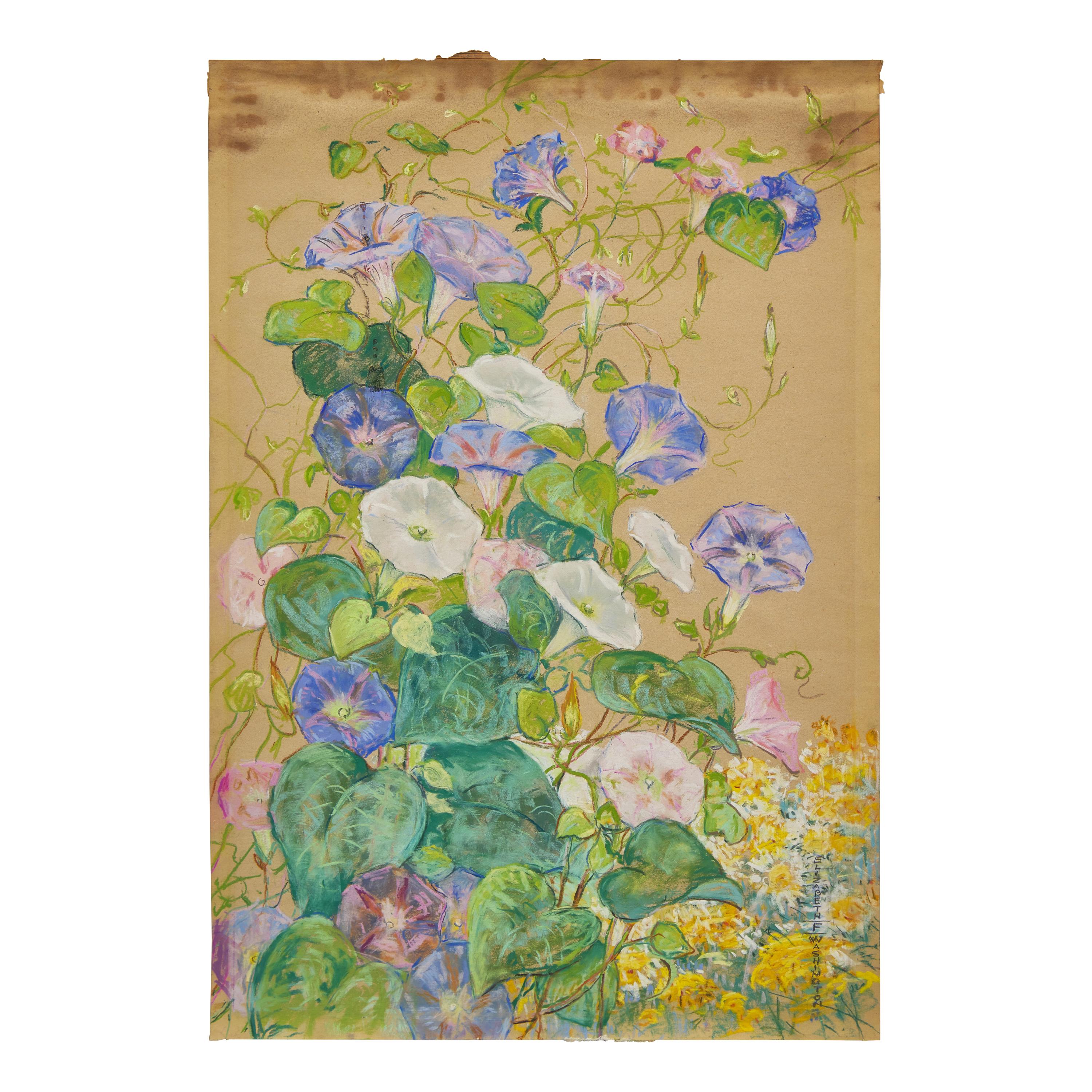 Morning Glories; A Pair