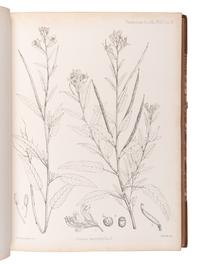 [EXPLORATION -- AFRICA]. PEKE, John Hanning (1827-1864), James Augustus GRANT (1827-1892), and Daniel OLIVER, editor (1830-1916). Botany of the Speke and Grant Expedition . London: Taylor and Francis, 1872.