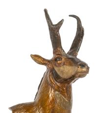 Pronghorn , edition 5/50, 1992