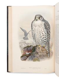 [NATURAL HISTORY]. GOULD, John (1804-1881). The Birds of Great Britain . London: Taylor and Francis, [1862-] 1873.